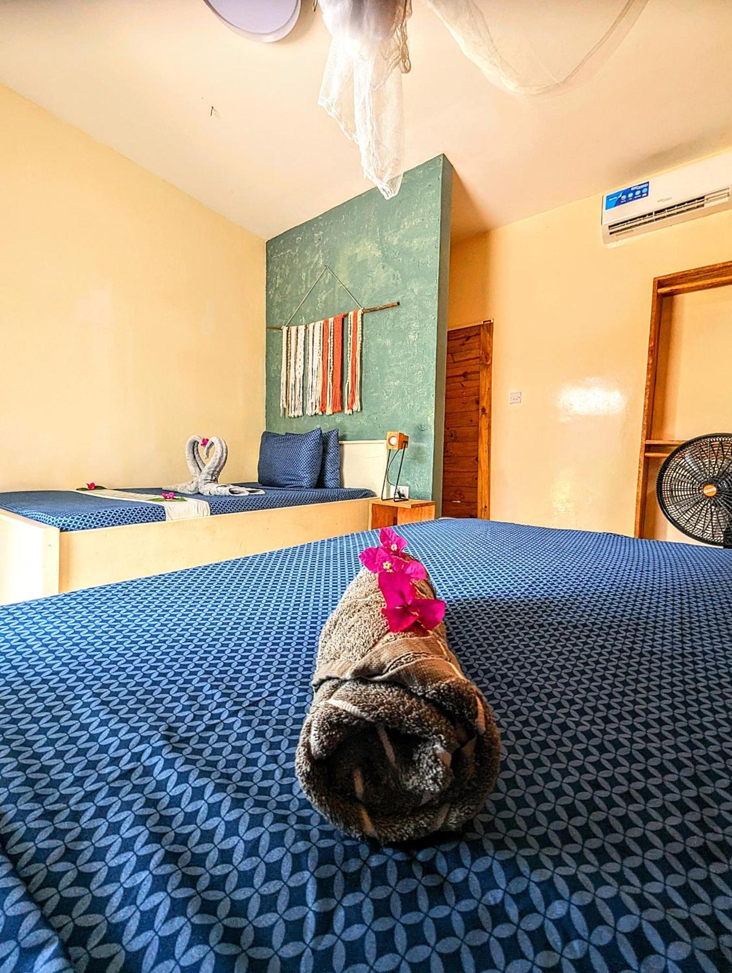 Jambiani Backpackers Hostel Cameră foto